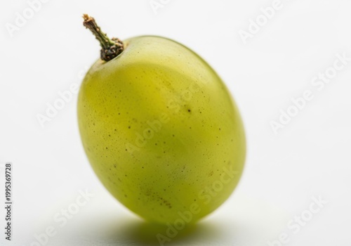 A single green grape with a stem on a white background