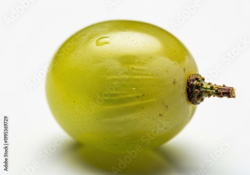 A single green grape with a stem on a white background