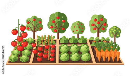 Kitchen garden vector illustration vegetables fruit orchard eco farm set