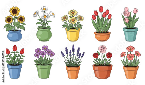 Bild auf Leinwand Garden flowers in flowerpots vector set isolated botanical illustration