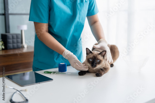 Foto Vet surgeon
