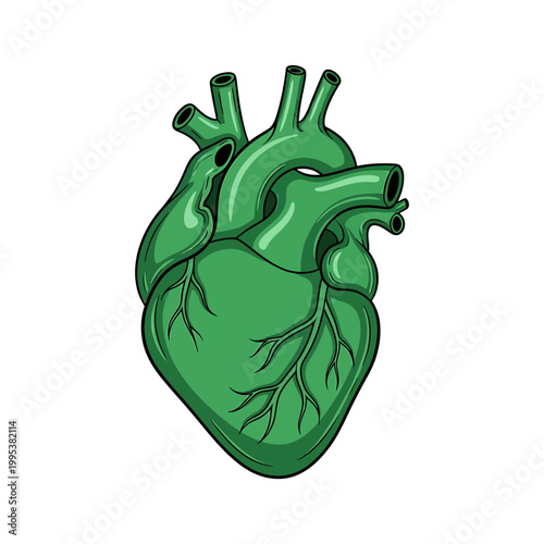 Green anatomical heart illustration for ecology and health themes