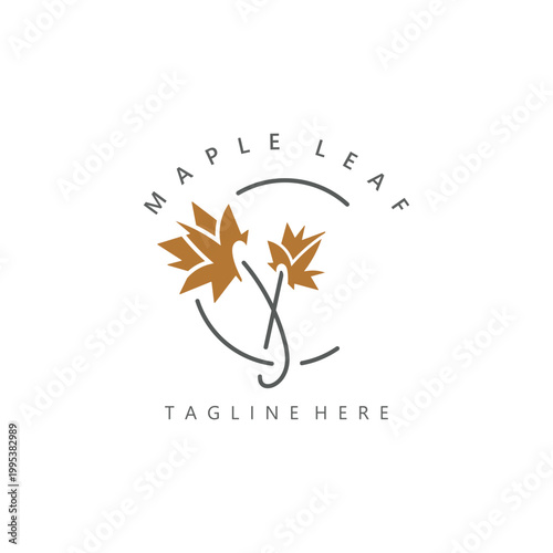 Maple leaf logo design vintage style graphic illustration template