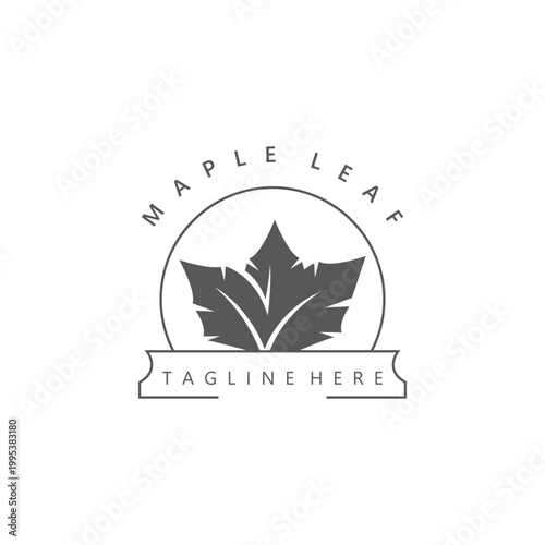 Maple leaf logo design vintage style graphic illustration template