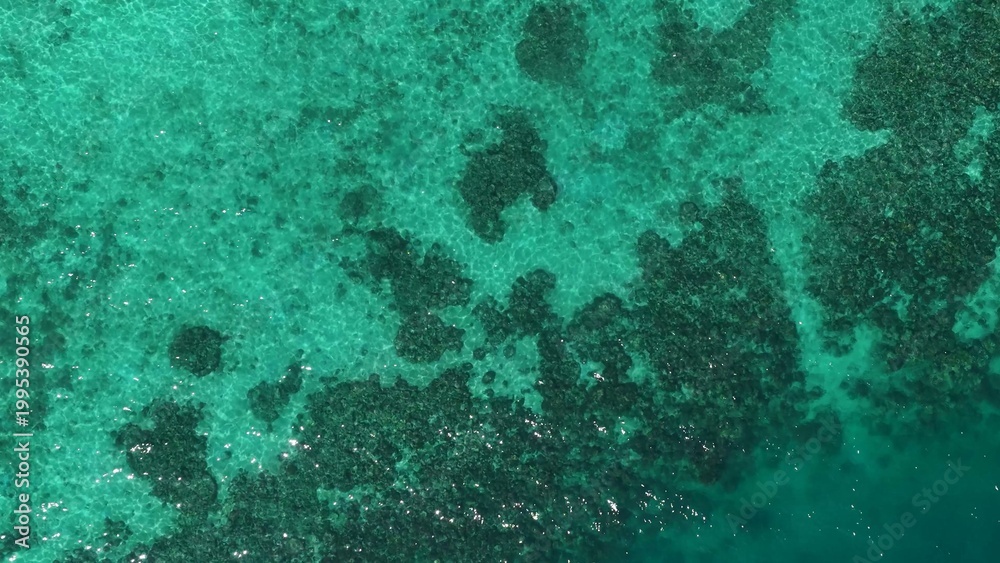 Fototapeta premium Aerial Top Down View of Turquoise Sea and Coral Reef