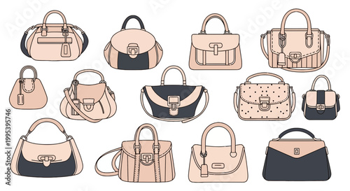 Set of fashionable women's handbag and purse vector illustrations