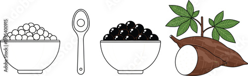 Tapioca pearls and cassava root vector illustration with bowl of white and black pearls, spoon and plant, tropical food ingredient, flat design isolated background