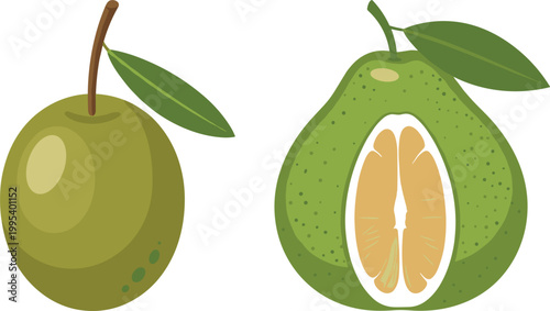 Green guava fruit vector illustration with whole and cut half showing seeds and pulp, tropical fresh organic food, botanical flat design isolated on background