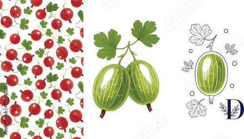 Seamless gooseberry pattern with fresh green and red berries, botanical illustration set, hand drawn fruits, summer harvest design for textile, packaging and background use