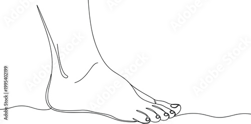 Human foot line drawing vector illustration, anatomical outline artwork, medical design element, posture motif concept, anatomy graphic representation