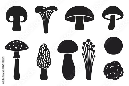 set of black mushroom silhouettes isolated on transparent background