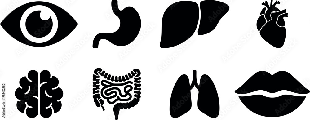 Fototapeta premium Human organ, anatomy icon set. Vector glyph pictograms of brain, heart, lungs, liver, stomach, intestine, kidney medical, healthcare, and biology concept black silhouette illustration.