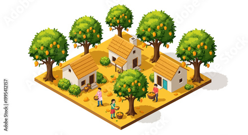 Isometric illustration showcasing the mango harvest in India, where workers in traditional clothing pack ripe mangoes into wooden crates near vintage scales, conveying the essence