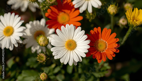 A vibrant bouquet of colorful flowers in full bloom outdoors