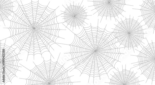 Spider Webs Isolated on White Background