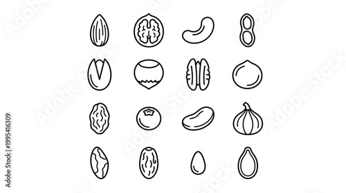 Simple black line art icon set of various organic nuts and seeds isolated on a white background, concept for healthy food packaging, nutrition infographics and dietary menu application