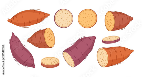 Collection of stylized sweet potatoes and slices in orange and purple