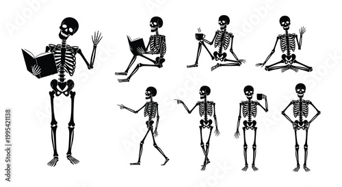 Fotografie A collection of black and white cartoon skeletons in various poses