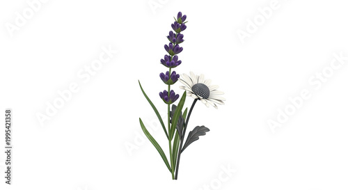 Lavender and Daisy Flower Arrangement