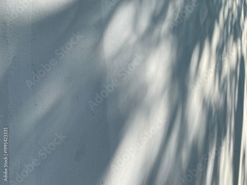 Aesthetic Soft Leaf Shadow Overlay on Blue Grey Wall Background