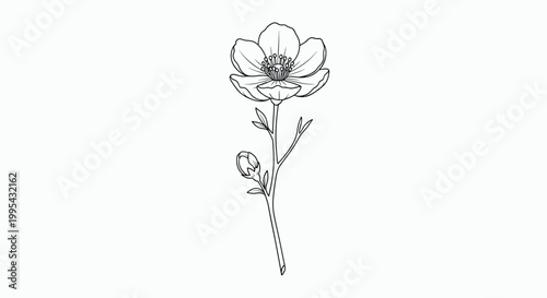 Minimalist black and white line art illustration of a single delicate flower in bloom with a closed bud on its slender green stem.
