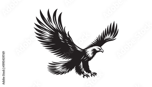 black and white silhouette of eagle bird very high quality vector illustration.