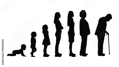 An illustration of human transformation from baby to old age. The life cycle of a human from baby to old age.