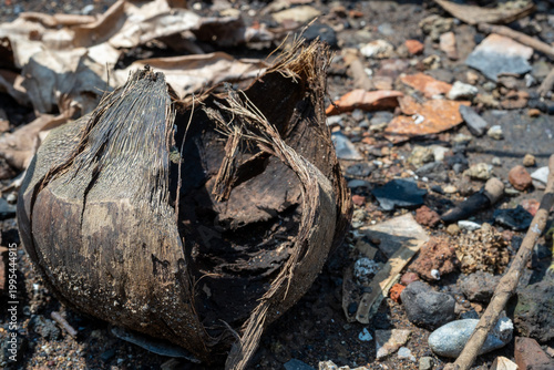 Broken dry brown coconut husk resting on dirt and scattered debris