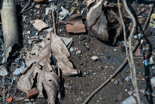 Large dry brown leaf and a broken coconut shell on rocky dirt