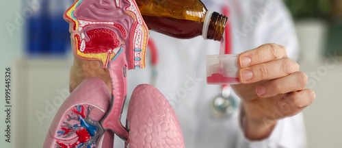Doctor carefully pours liquid medicine and anatomy of the lung. Pediatrician and medicines cough syrup and for the lungs