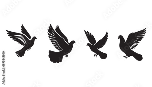 black and white silhouette set of dove bird very high quality vector illustration.