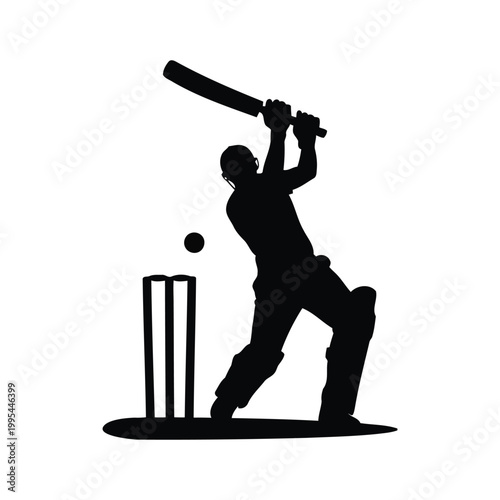 Cricket Player Silhouette Batting Sports Action Vector Illustration