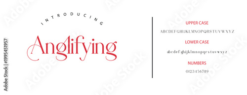 Elegant Font Uppercase Lowercase and Number. Classic Lettering Minimal Fashion Designs. Typography modern serif fonts regular decorative vintage concept. vector illustration