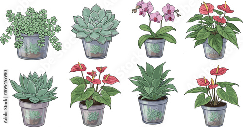 Indoor Potted Plant Collection with Succulent, Echeveria, Orchid, Anthurium, and Agave in Gray Pots for Home, Garden, and Botanical Designs
