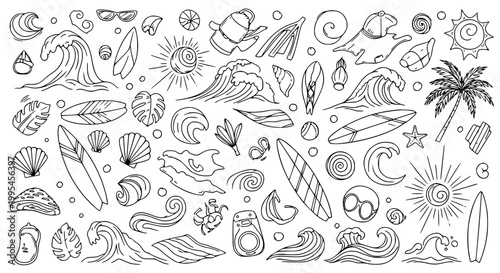 Vintage Botanical & Nature Illustrations Vector Set - Organic Line Art