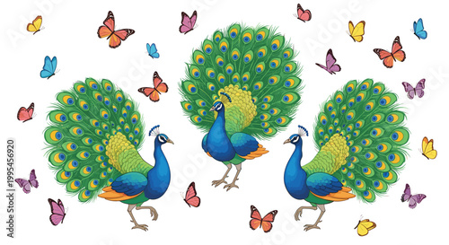 Colorful Peacock Trio with Spread Feathers and Flying Butterflies Collection for Nature, Wildlife, and Decorative Pattern Designs