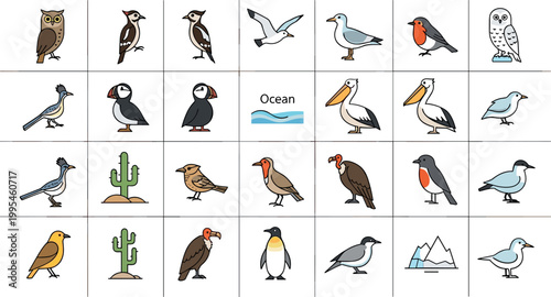 Bird icon set with owl robin seagull pelican penguin desert and ocean species flat vector illustration collection