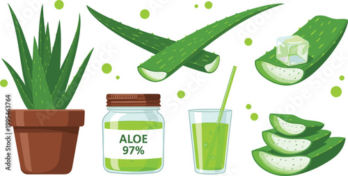 Aloe Vera Plant, Gel, and Drink Illustrations for Natural Health, Skincare, and Wellness Designs