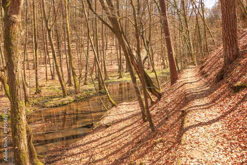 Frühling im Schlaubetal; Wanderweg an der Schlaube unweit der Bremsdorfer Mühle