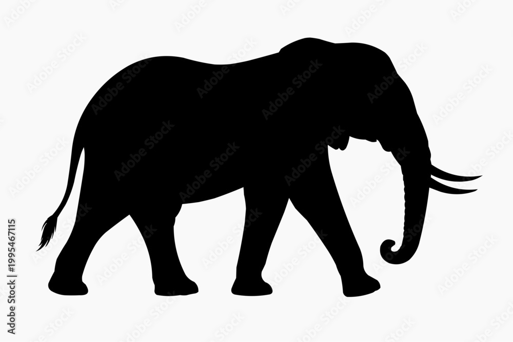 Obraz premium Elephant Silhouette Walking African Elephant Profile Elephant Side View