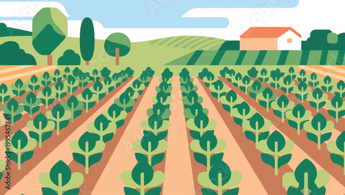 Illustration Of Rows Of Crops Growing In Farm Vector Design Template