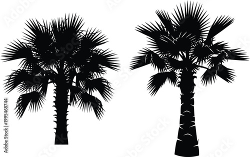 Two black silhouette palm trees with detailed fronds and textured trunks on a white background tropical