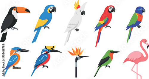 Colorful exotic birds vector icon set with toucan parrots cockatoo flamingo kingfisher in flat cartoon illustration style