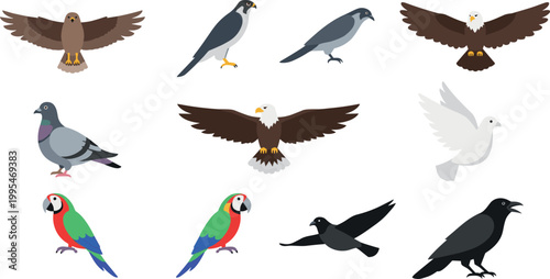 Colorful flat bird icon set featuring eagle pigeon crow parrot dove vector collection for wildlife nature and mascot design