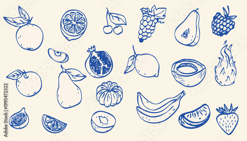 Minimalist hand drawn sketch fruits vector. Natural tropical fruits. Dragon fruit, coconut, citrus, banana, fig, apple, grape, lemon, banana, pomegranate, fig, strawberry.