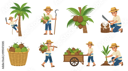 Smiling farmers in straw hats work efficiently harvesting fresh organic coconuts using traditional tools for daily agricultural food supply production