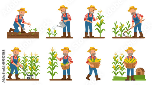 Friendly elderly farmer wearing straw hat and overalls performing various agricultural tasks such as planting, watering, weeding and harvesting corn