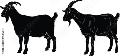Two black goats, one solid silhouette and one detailed outline, standing against a white background