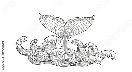 Detailed Outline Whale Tail in Ocean Waves isolated white background