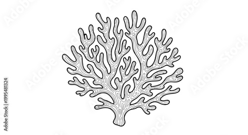 Stylized Coral Outline Marine Element isolated white background